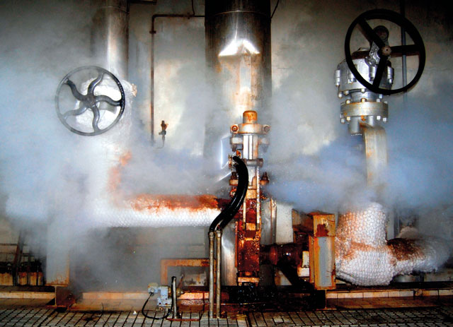 Steam Heat Exchanger System